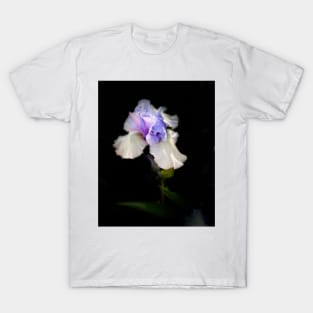 Ruffled Purple and White Iris On Black flower photograph T-Shirt